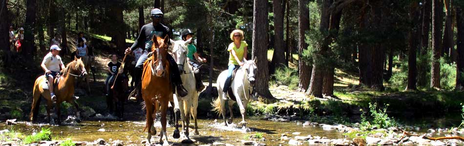 Rutas a caballo, senderismo, bicicleta, parque de aventuras y actividades en el propio camping te esperan en El Camping de Gredos