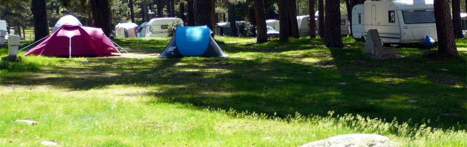 En un magnífico pinar, a las orillas del río Tormes, se encuentra El Camping de Gredos
